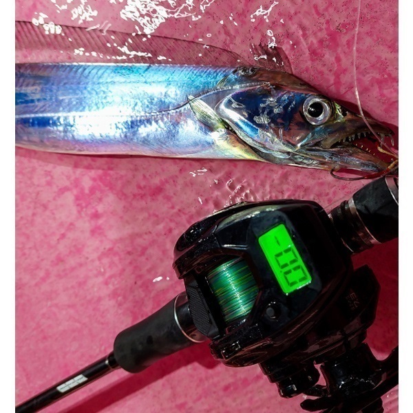 ヴィレイヤーDG